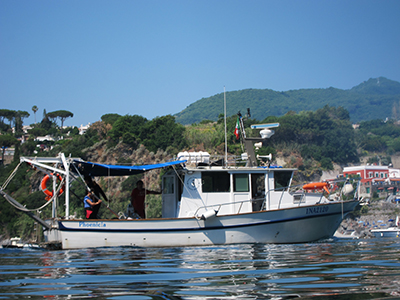 Research boat Phoenicia Ischia (Foto Gambi M C )