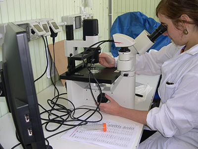 Microscopio per isolamento colture