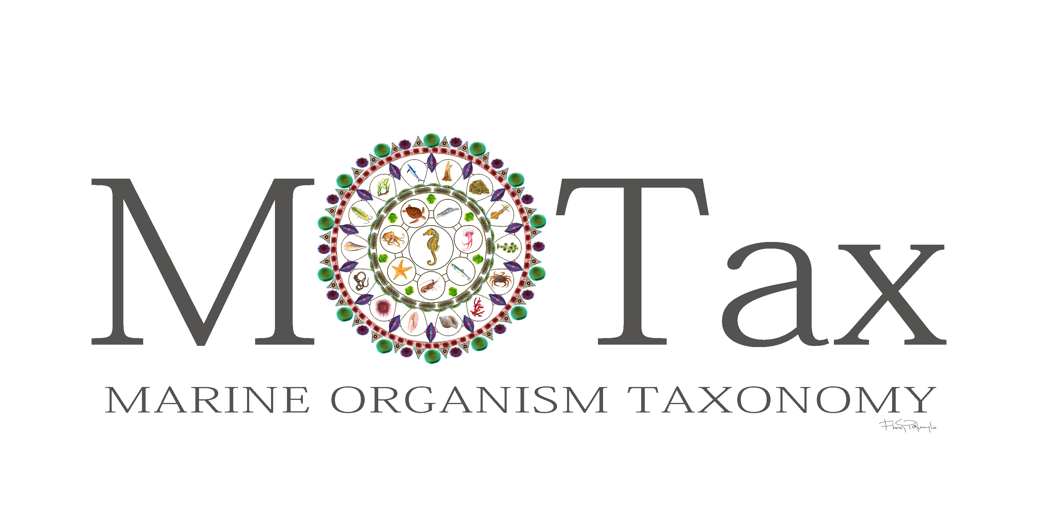 Logo 1 Color MOTAX. 2021 psd