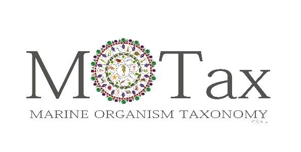 logo motax