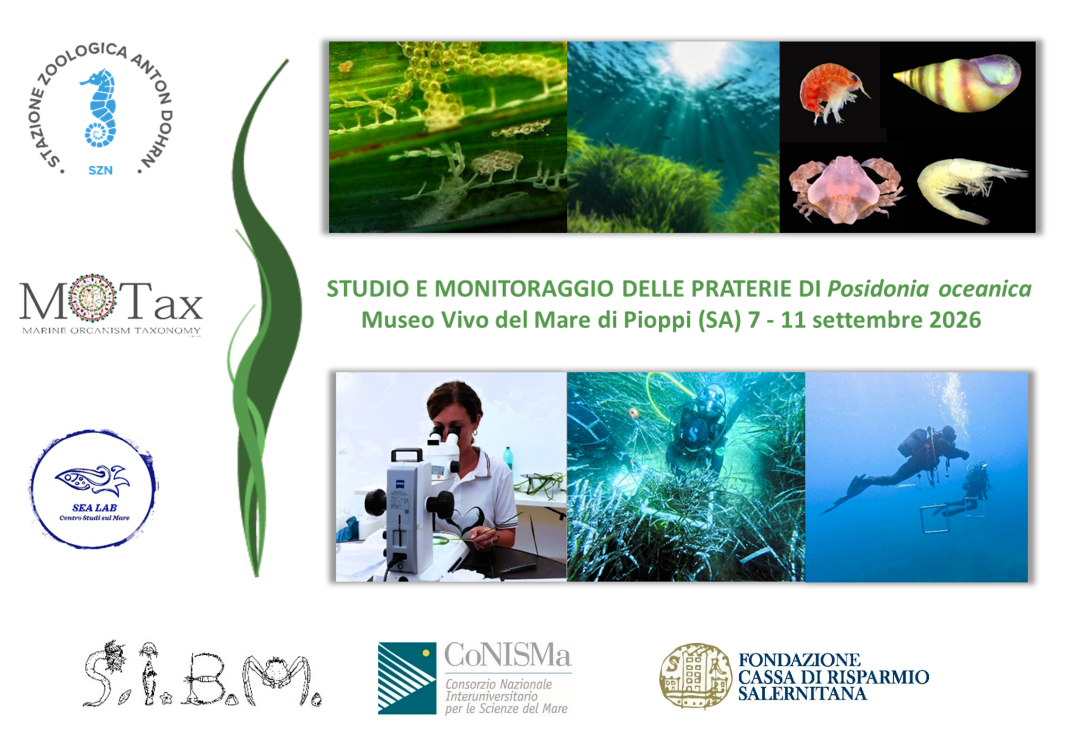 Corso 2026 senza Rotary