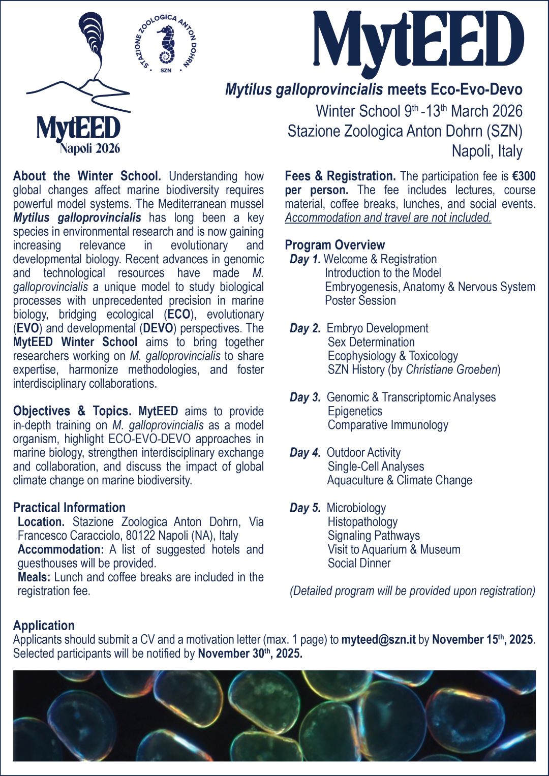 additional info Mytilus Winter School