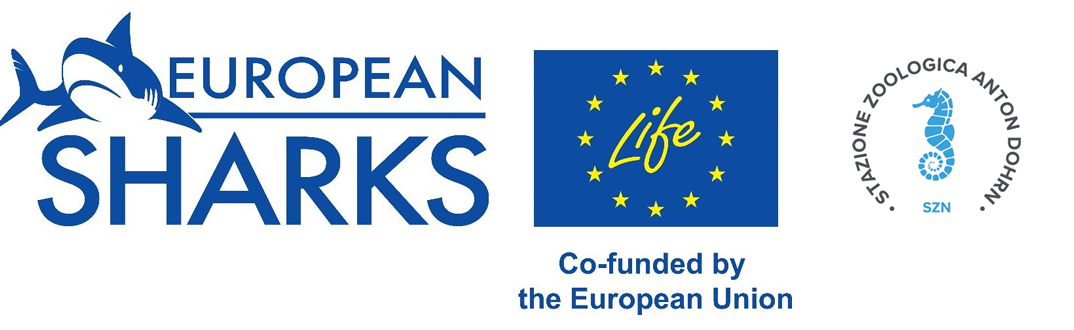 logo eu sharks