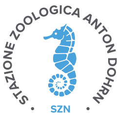 stazione zoologica anton dohrn copia