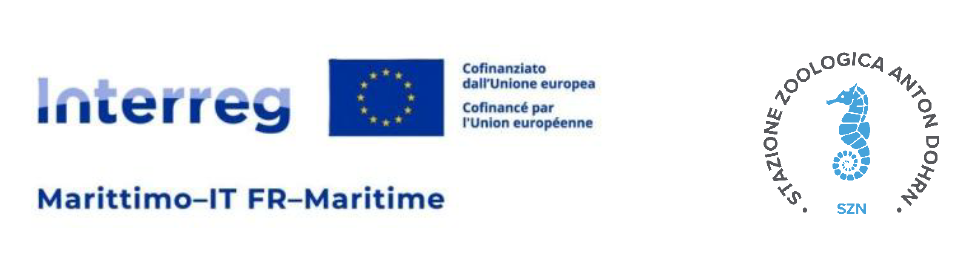 logo interreg