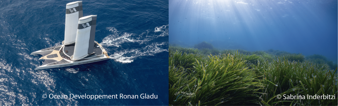 catamaranandposidonia