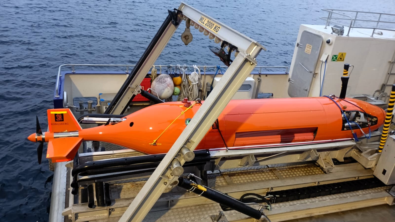 AUV1