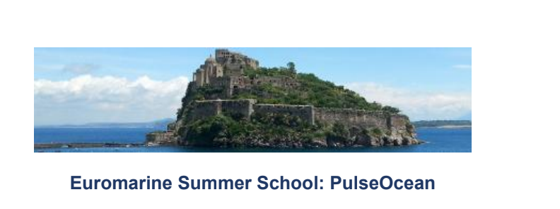 Summer School Euromarine