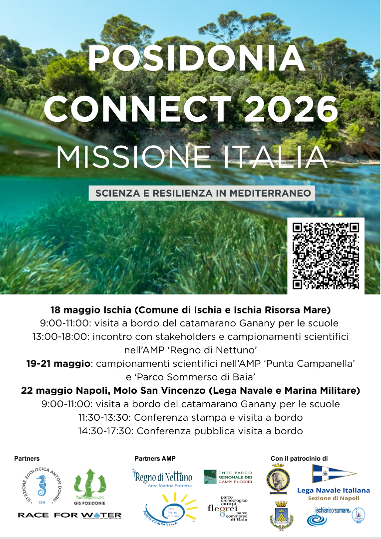 posidonia connect locandina