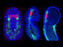 Clicca per andare alla pagina 