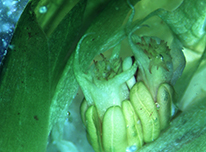 Clicca per andare alla pagina 